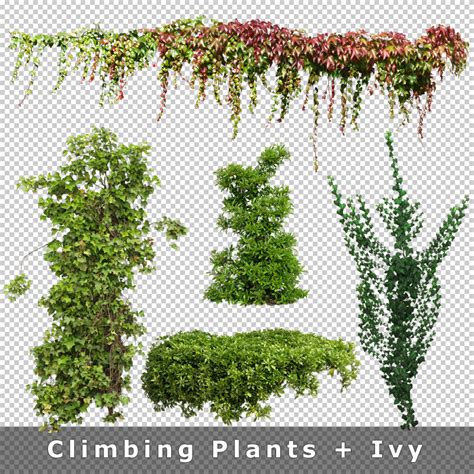Cutout Plants V04 Graphics For Landscape Architecture