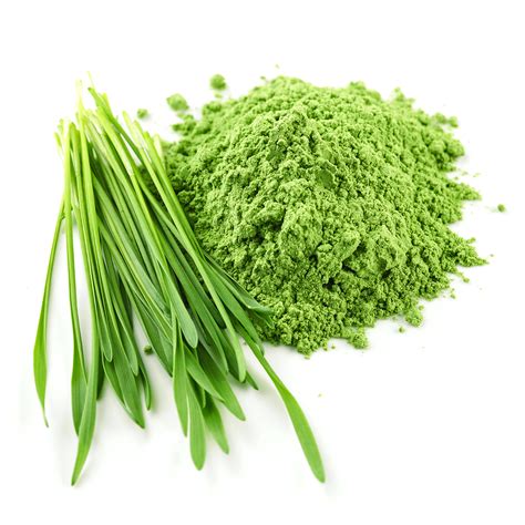 How to use barley grass powder: Vimergy Barleygrass Juice - 250g - Flower of Life