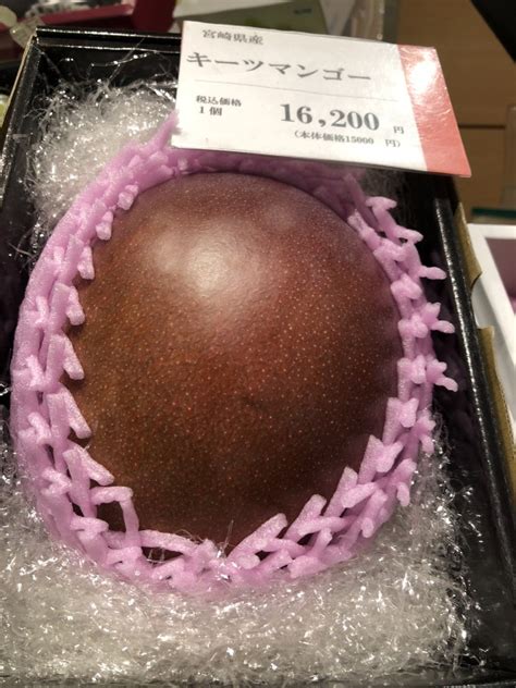Miyazaki is the king of mangoes, world wide! 좋은 과일:브레이크뉴스