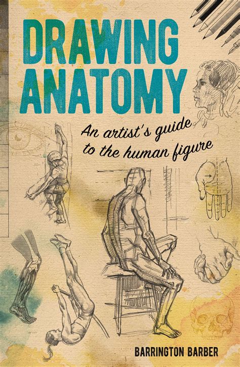 Drawing Anatomy An Artists Guide To The Human Figure Paperback