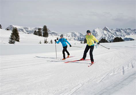 Cross Country Skiing Near Zurich Zuerich Com