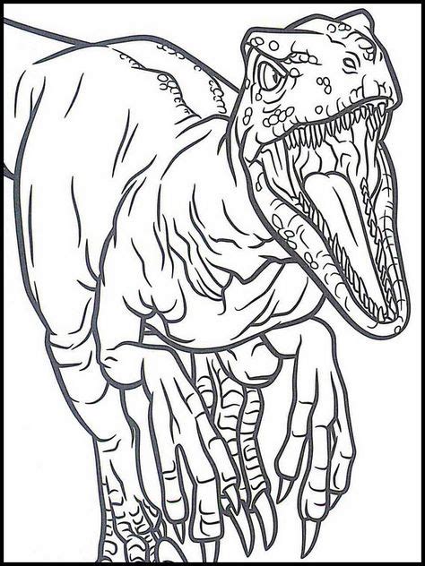 7 Ideas De Velociraptor Blue En 2021 Libro De Dinosaurios Para Colorear Dibujo De Dinosaurio