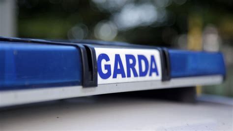 Woman 21 Dies After Being Struck By Garda Patrol Car As Cops Launch Smash Probe The Irish Sun