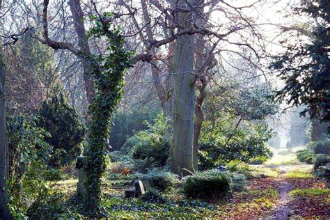 We did not find results for: Wilder Garten in einem alternden ehemaligen Friedhof