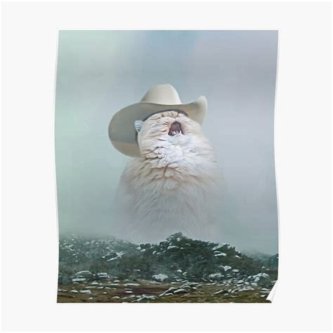 Cat Cowboy Hat Meme