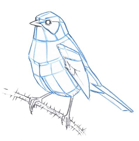 Then, use overlapping curved lines to form the second and third toes. How to draw a Song Sparrow step-by-step | Sparrow drawing ...