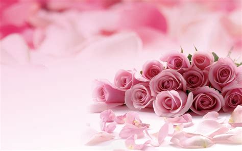 Pink Roses Backgrounds Wallpaper Cave