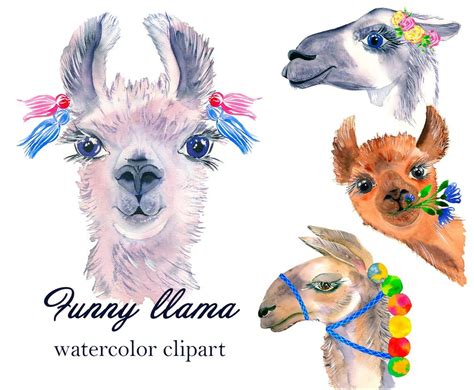 Watercolor Lama Clipart Alpacas Portrait Cute Llama With Etsy In 2020