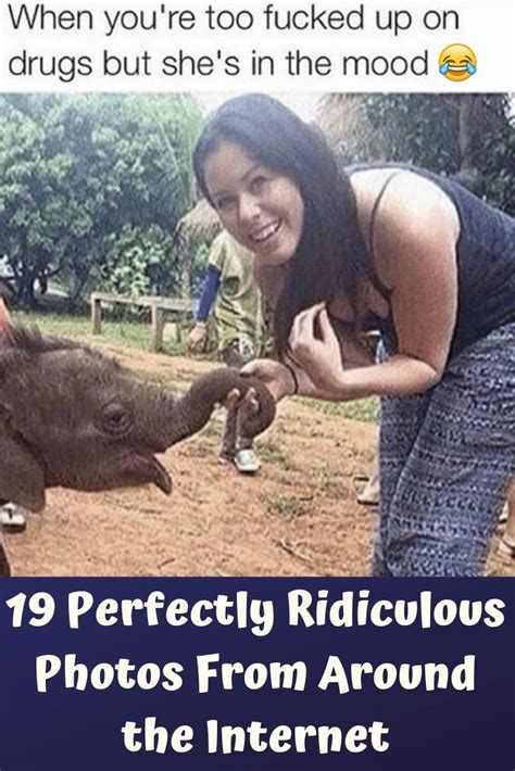 19 perfectly ridiculous photos from around the internet fun facts scary ridiculous pictures