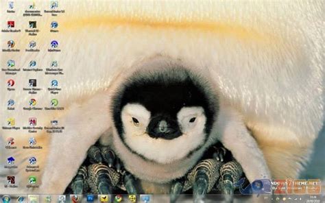 Baixar Penguins Windows 7 Theme Grátis Download