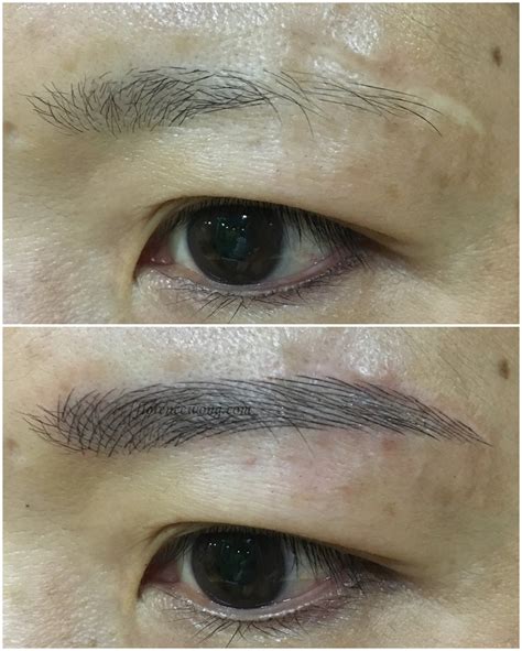 Elegant 3d Brow Embroidery ~ Scar Eyebrow Florence Wong