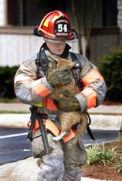 Firemen Rescue Cute And Cuddly Cats 12 Pics Saving Cat Cat Rescue
