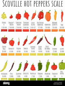  Pepper Scale Chart