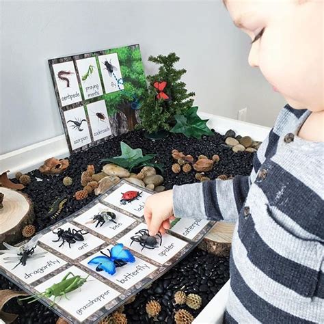 INSECT MATCHING for a bug sensory table / small world setup Reggio