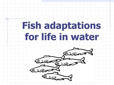 Ppt All About The Little Fish Powerpoint Presentation Free Download