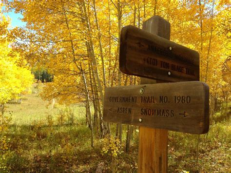 Like the salmon of capistrano; Aspen Trail Finder's Top Five Hikes for Leaf Peeping | Leaf peeping, Aspen, Aspen snowmass