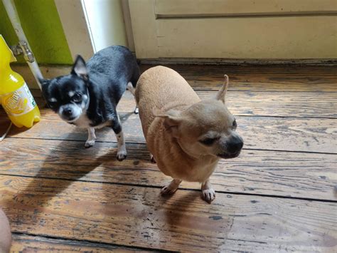 511 best Kyra images on Pholder | Love Island USA, Aww and Assassins