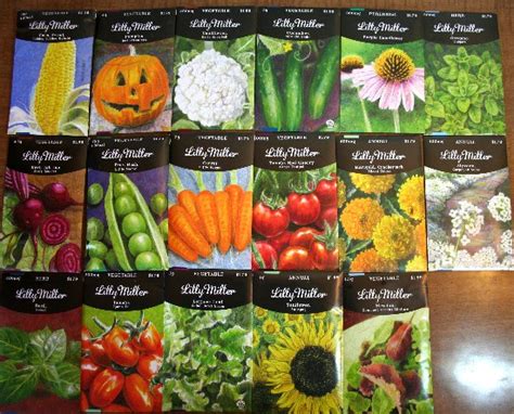 The Rainforest Garden Win My Illustrated Seed Packets