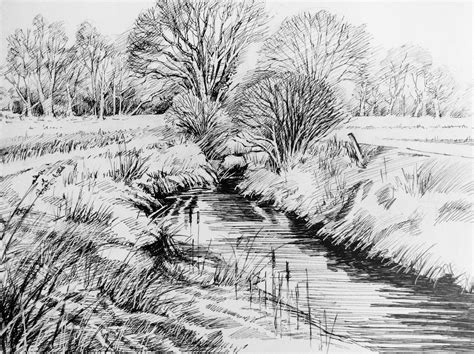 Trees In The Landscape 2 2015 Pen And Ink Glyn Overton Landscape