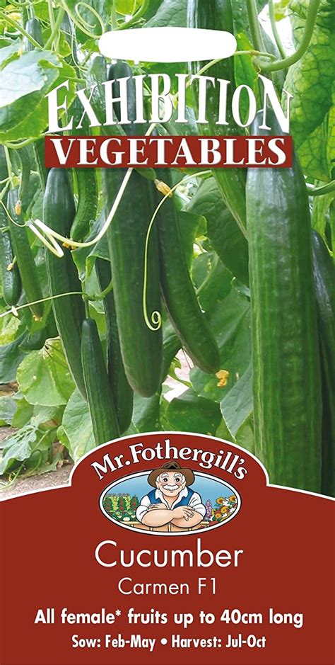 Mr Fothergills Pictorial Packet Vegetable Cucumber Carmen F1 5 Seeds Uk Garden