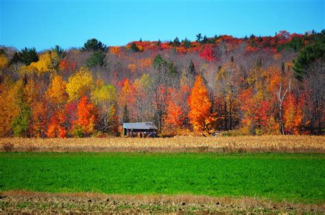 Fall Colors Quebec Canada Valterb Flickr