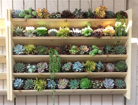 Keep the succulent wall planter on a table, near a windowsill, in your living room, somewhere where it will receive some sun or indirect sunlight. Succulent shelf at SucculentArtWorks | Succulent display, Succulents, Plant shelves outdoor