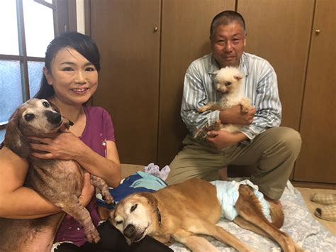He really enjoyed working there because it was his responsibility to make sure all the guests were happy. 【写真】自宅を保護犬猫に開放、年100匹を殺処分から救う ...