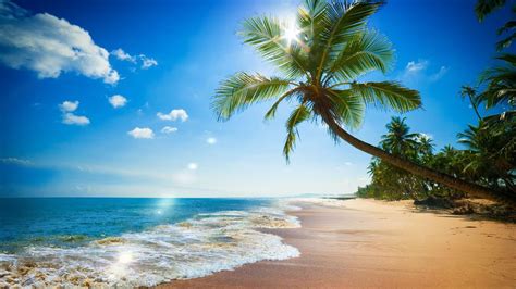 Paradise Beach Ocean Waves Sound Mp3 Relaxing White Noise