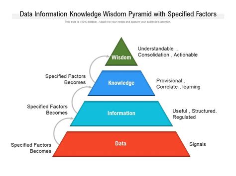 Data Information Knowledge Wisdom Pyramid With Specified Factors