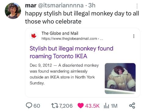 Happy stylish but illegal monkey day : r/NonPoliticalTwitter