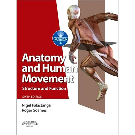 Anatomy And Human Movement Structure And Function