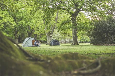 Brockenhurst Camping Campsites In Brockenhurst New Forest