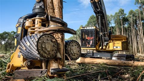Biggest Tigercat Unveils Largest Machine Tigercat Forestry Equipment
