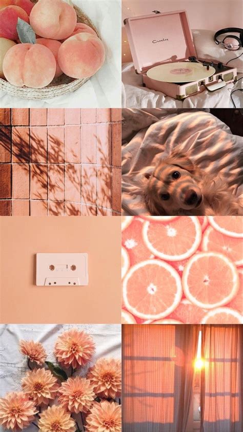 Peach Pastel Orange Aesthetic Wallpaper Garotas Sensa