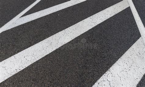 Paved Highway With White Road Markings Stock Photo Image Of Transport
