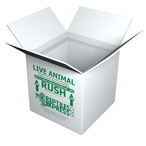12x9x6 Insulated Shipping Box With 34 Foam Reptiles Express