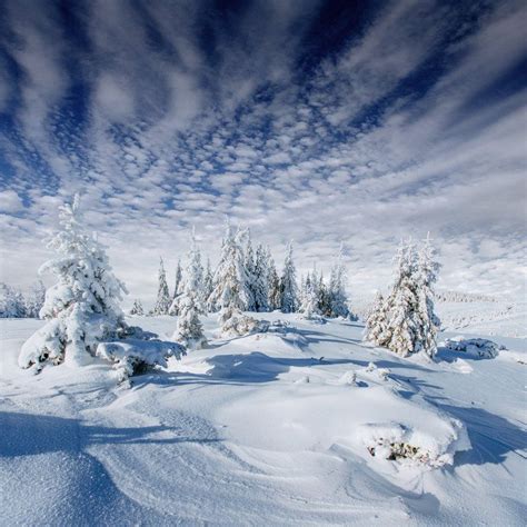 Winter Landscape Discover The Most Beautiful Winter