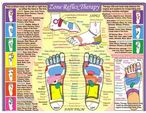 Zone Reflex Therapy Ancient Eastern And Alternative Medicine Reflexology Massage Therapy