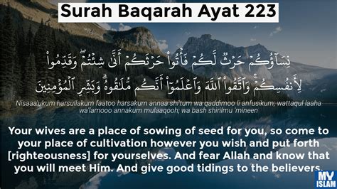 Surah Al Baqarah Ayat 223 2223 Quran With Tafsir My Islam