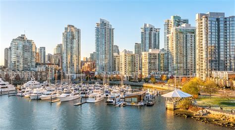 Open daily, the aquarium, which is in stanley park. 16 touristy things to do in Vancouver this fall | Daily Hive Vancouver