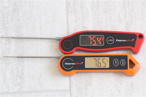 Thermopro Tp19h Review Thermo Meat