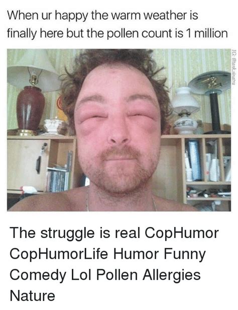 25 Best Memes About Allergies Allergies Memes