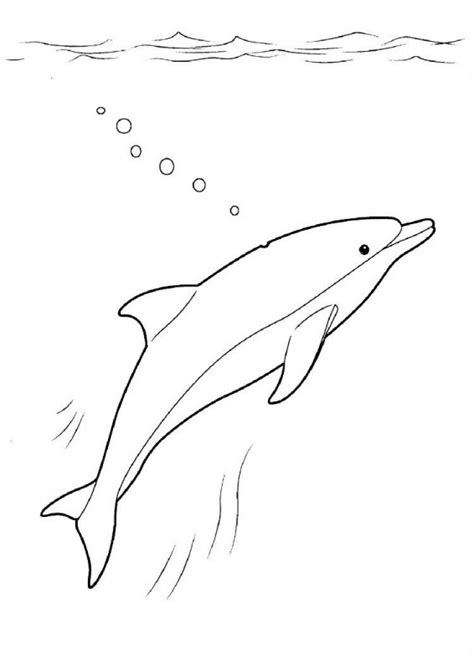 Desene Cu Delfini De Colorat Imagini și Planșe De Colorat Cu Delfin