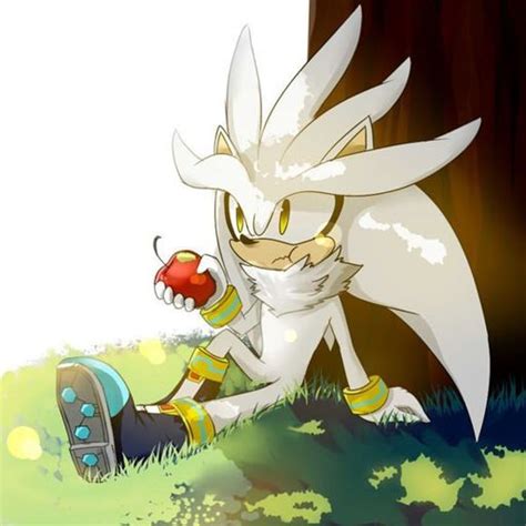 Silver The Hedgehog Wiki Sonic Amino Pt~br© Amino