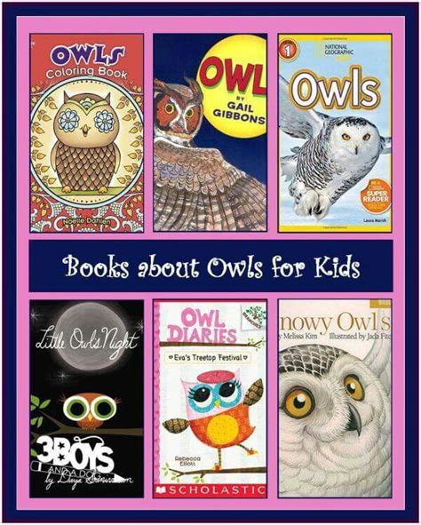 Book Owls Owl Kids Owl Books Preschool Books