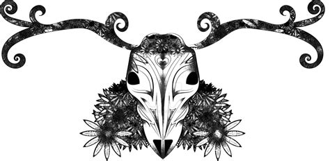 Deer Skull By Achelseasmile On Deviantart