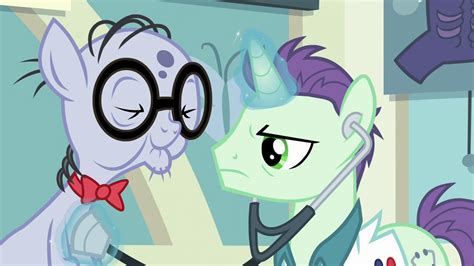 1301122 Safe Screencap Dr Steth Mr Waddle Earth Pony Pony