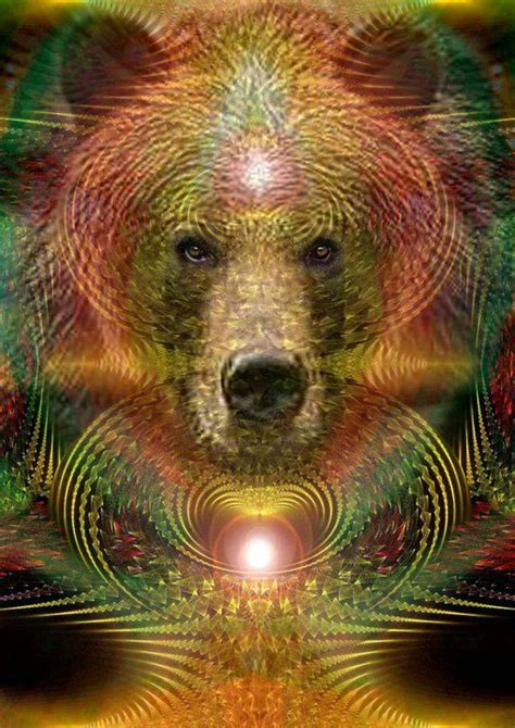 Spirit Of Bear Metaphysical Pinterest Spirit Animal Nature And