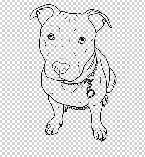 Croquis De Perro Cachorro De Pit Bull Terrier Americano Dibujo