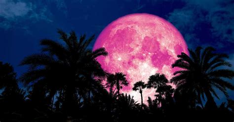 At this point, the side of the moon that faces towards us will be fully illuminated. Spring Brings A Full Pink Moon - Here's What You Need To ...